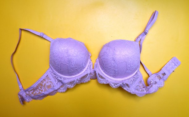 内衣文胸图片下载