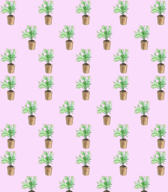 水彩画的棕榈树背景图案，棕榈树在一个粉红色的背景花盆上图片下载