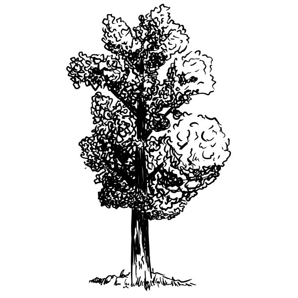 一棵枝繁叶茂的树，一片长满青草的空地。矢量隔离单色插图。图片下载