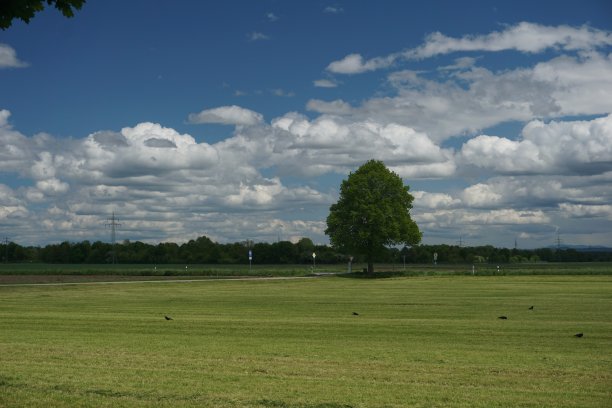 巴伐利亚的典型景象:群山、田野、草地和云雾缭绕的天空。在巴伐利亚的田野、草地和山上有许多美丽的云。上巴伐利亚春季的自然风光。巴伐利亚春季田野的全景。图片下载