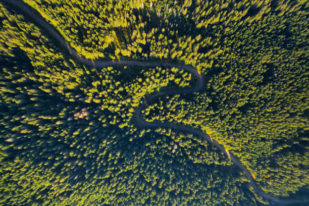 无人驾驶飞机在秋天的森林里拍摄山路。图片下载