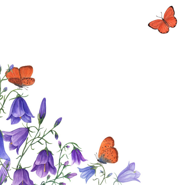 水彩画的铃铛和飞翔的蝴蝶孤立在白色的背景上。植物绘画明信片设计，邀请模板，情人节，生日，母亲节卡片，婚礼邀请图片下载