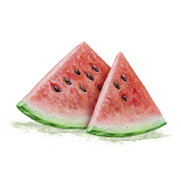 白色背景上孤立的西瓜片水彩画图片下载