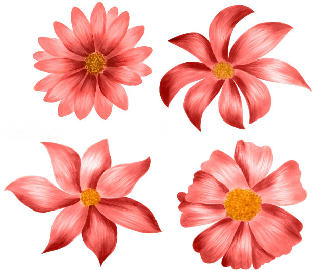 花水彩隔离图片下载