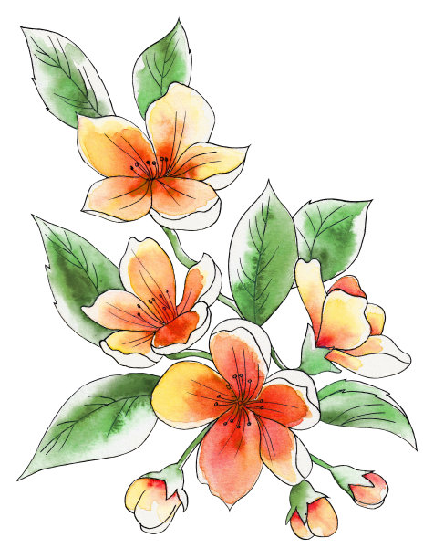 水彩花束图片下载