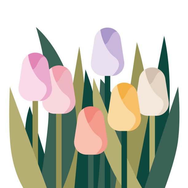 郁金香花束孤立于白色之上。向量的花束。节日矢量插图与郁金香花和绿叶的分支。春季花卉设计。女子的一天。简单而有风格的郁金香花图片下载