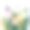 郁金香花束孤立于白色之上。向量的花束。节日矢量插图与郁金香花和绿叶的分支。春季花卉设计。女子的一天。简单而有风格的郁金香花图片下载