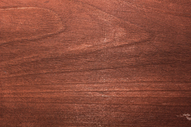 美丽的树林图片下载