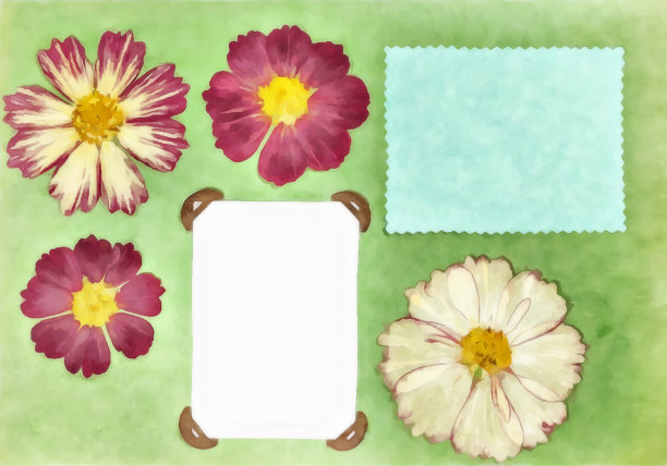 从旧相册页。剪贴簿元素。水彩画花。用于包装图案或贺卡。邀请和祝贺。生态学的风格。数字水彩画图片下载