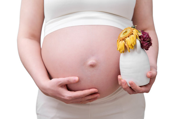 孕妇用干花，冷冻怀孕概念，隔离在白色背景上图片下载