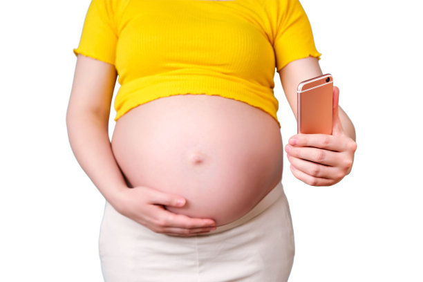 一名孕妇看着白色背景下的手机屏幕图片下载