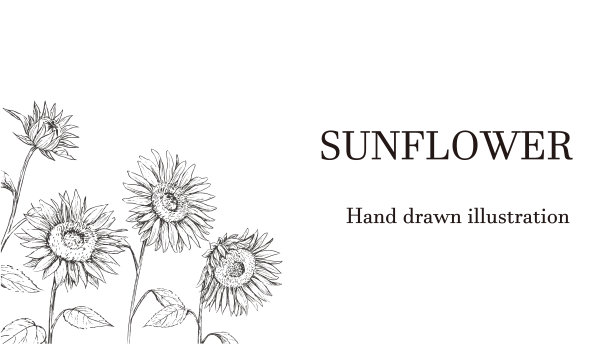 向日葵角用钢笔画的装饰图片下载