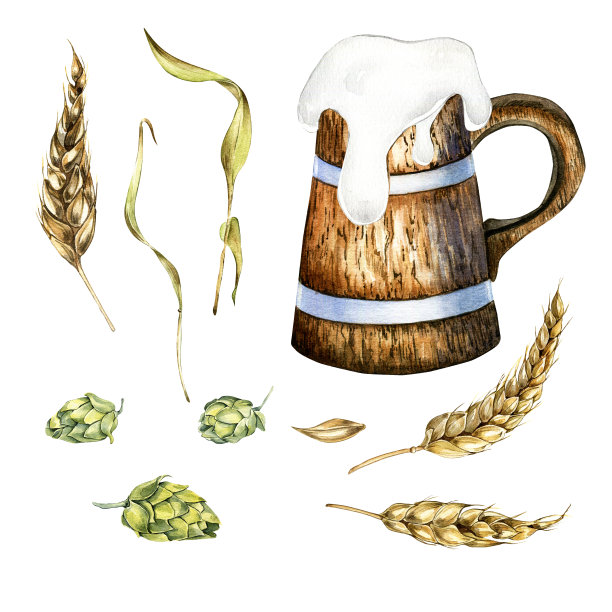 一套木制啤酒杯，啤酒花锥和小麦耳朵水彩插图孤立在白色。图片下载