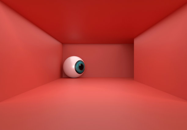 摘要人眼图片下载