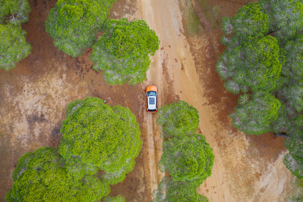 越野车行驶在泥木森林道路的俯视图图片下载