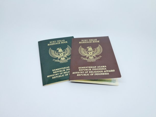 婚姻的书图片下载