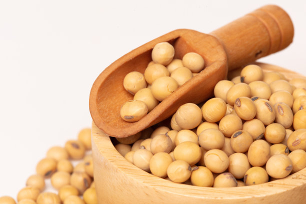 将黄黄豆放入木碗中，将金黄豆转制为食用油，黄豆是健康饮食和食物元素的烹饪原料。白色背景隔离图片下载