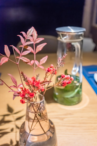 桌面植物图片下载