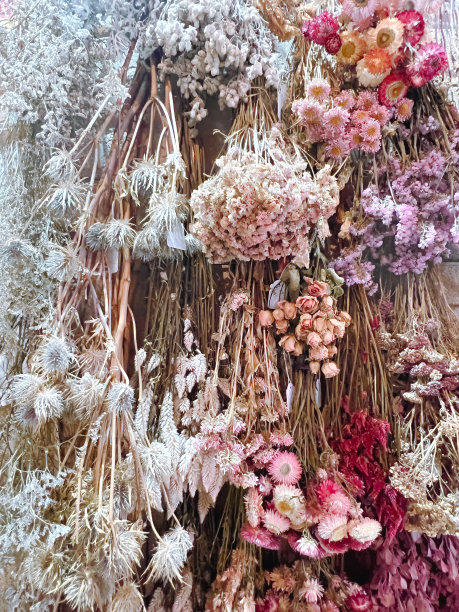 花店干花束图片下载