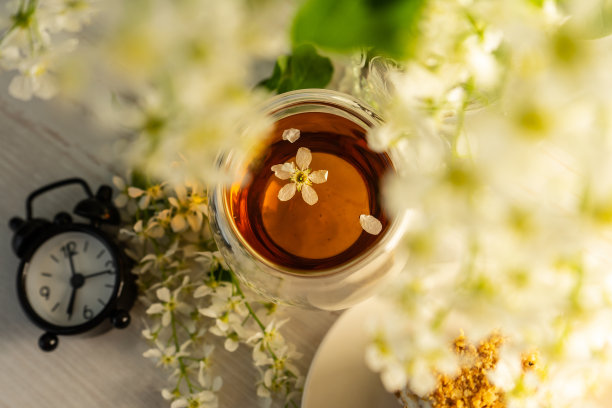 鸟樱桃，一杯茶。季节性植物Prunus padus用于食品工业，替代医学，顺势疗法和美容。有选择性的重点。图片下载