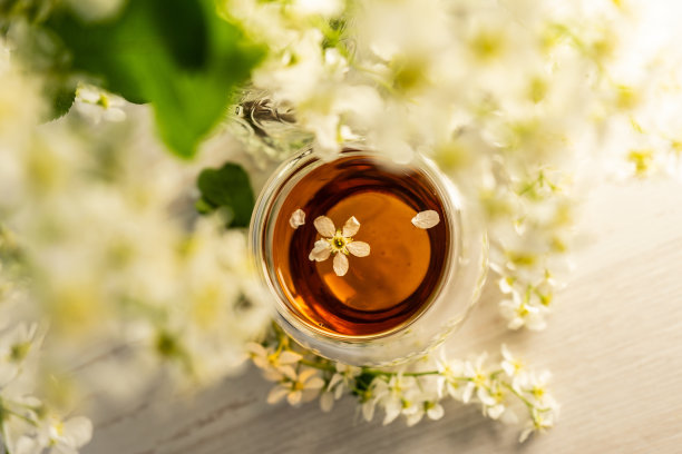 鸟樱桃，一杯茶。季节性植物Prunus padus用于食品工业，替代医学，顺势疗法和美容。有选择性的重点。图片下载