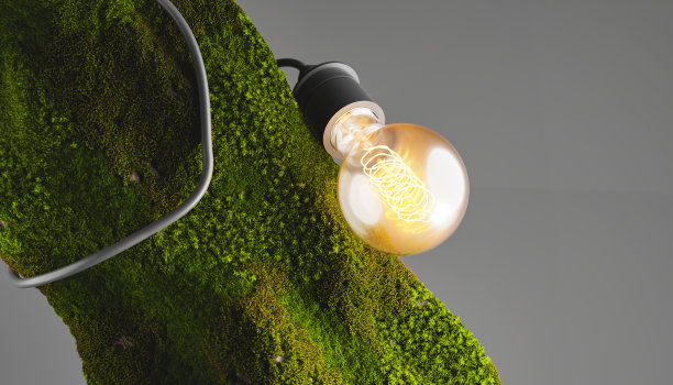 挂在树上的发光灯泡的3D渲染图片下载