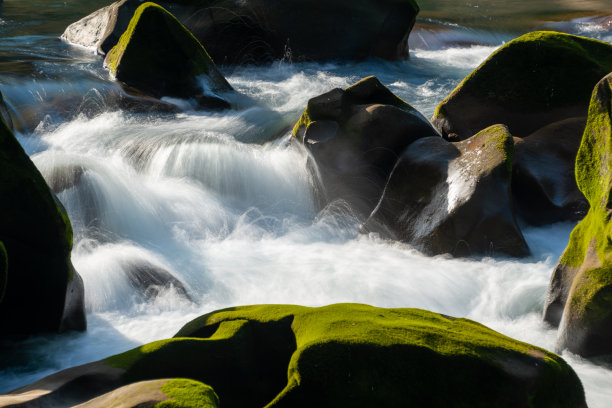 白色的湍流。形状奇特的岩石，上面长着苔藓。图片下载