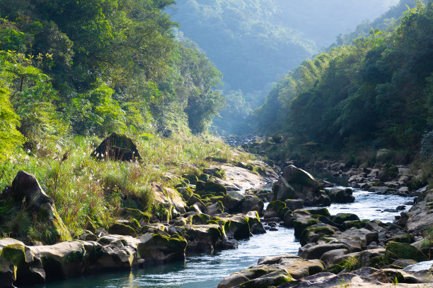 山谷里的小溪。形状奇特的岩石，上面长着苔藓。图片下载