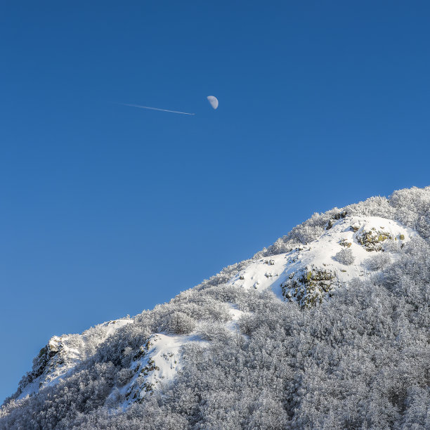 月亮和山坡图片下载