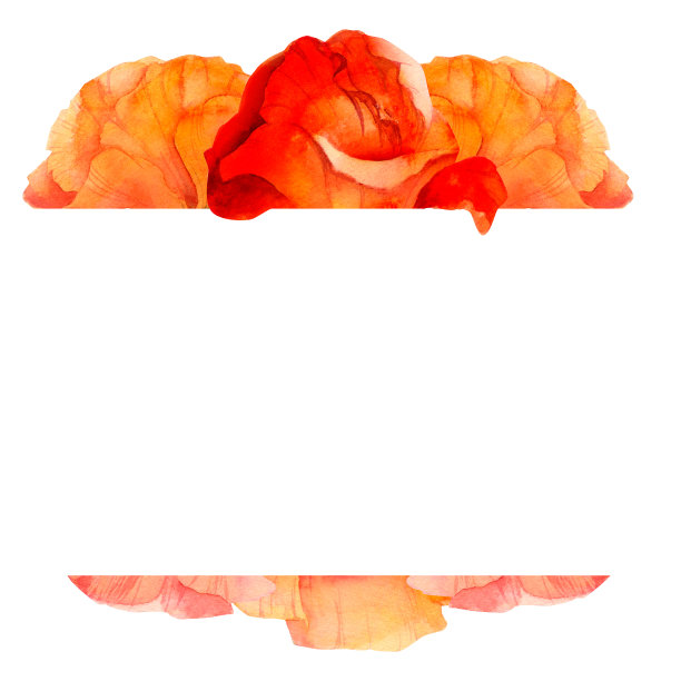 水彩方框构图，手绘夏日鲜红罂粟花。孤立在白色背景上。设计邀请，婚礼，爱情或贺卡，纸，印刷，纺织品图片下载