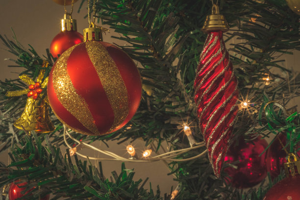 圣诞树图片下载