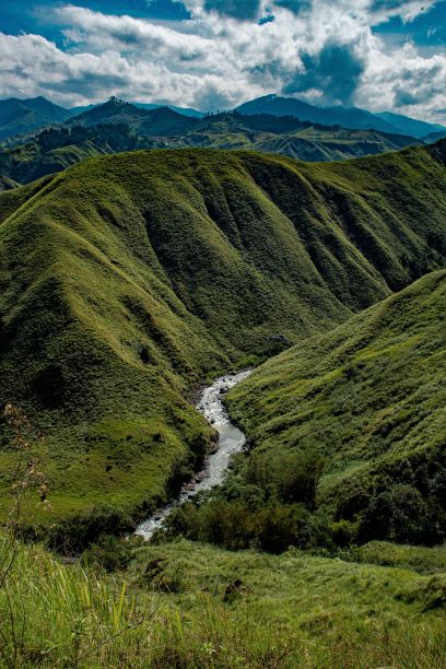 夏季葱郁高山间的狭窄河流图片下载