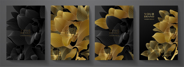 花盖设计集金色兰花黑色背景图片下载
