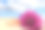 特写镜头的海贝壳和花在沙滩上与蓝色的天空背景图片下载