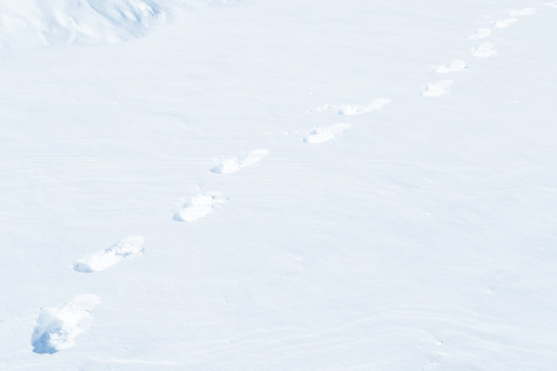 厚厚的雪地上有一排人类脚印图片下载