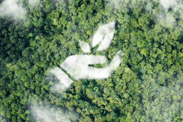 手握树叶。可持续发展。生态学的概念。图片下载