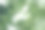 手握树叶。可持续发展。生态学的概念。图片下载