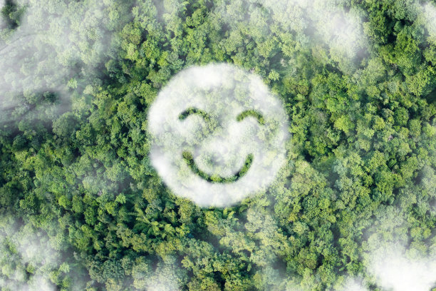 森林背景上的云朵组合出的微笑图片下载