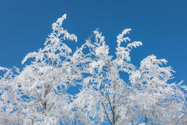 寒冷的冬天图片下载