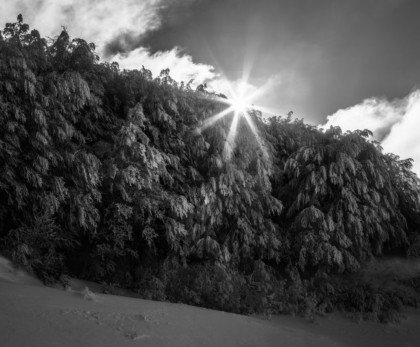 冬日阳光的温暖之吻图片下载