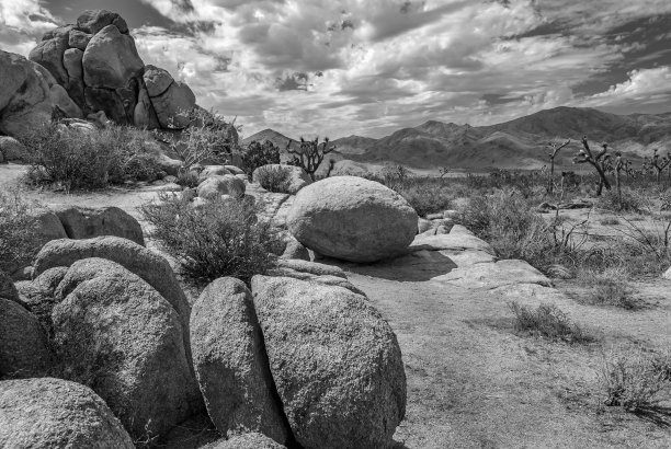 约书亚·斯通《黑与白图片下载