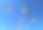 海鸥映衬着湛蓝的天空。图片下载