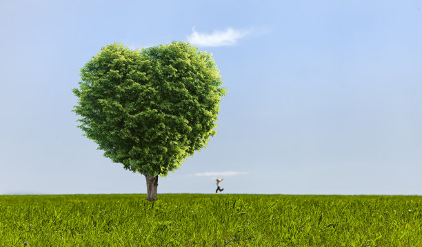 绿草地上心形的绿树图片下载