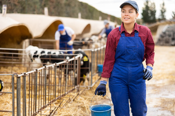 农妇站在牛场的桶图片下载