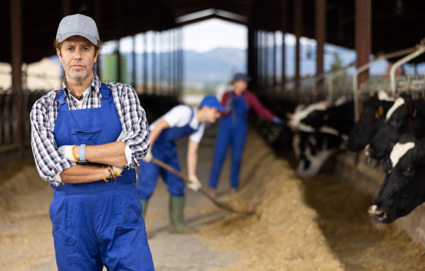 男农夫站在牛场图片下载