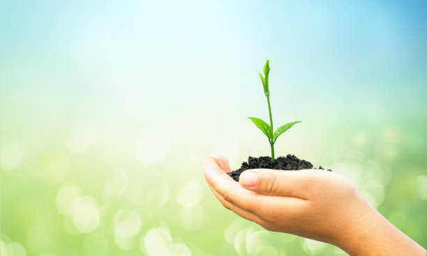 ESG概念:在模糊的自然背景下，人手捧树图片下载