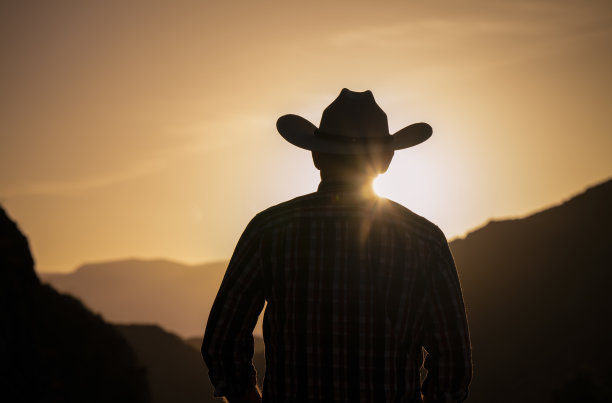 成年男子的剪影牛仔帽反对山和天空在日落图片下载