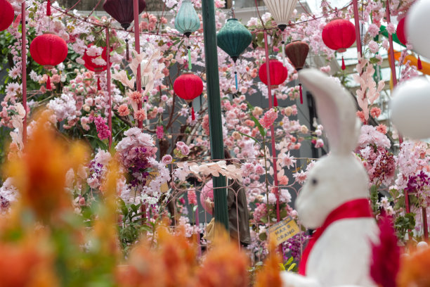 2023年中国新年背景的兔子雕像和灯笼花园图片下载