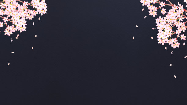 夜晚樱花背景框架材料图片下载