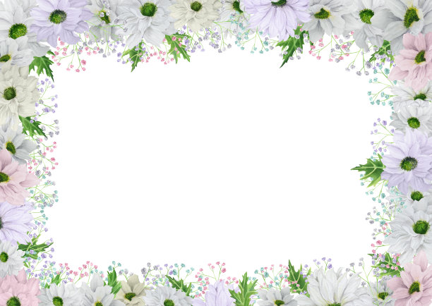 手绘水彩矩形框架与淡粉色和淡紫色菊花与彩色石膏图片下载